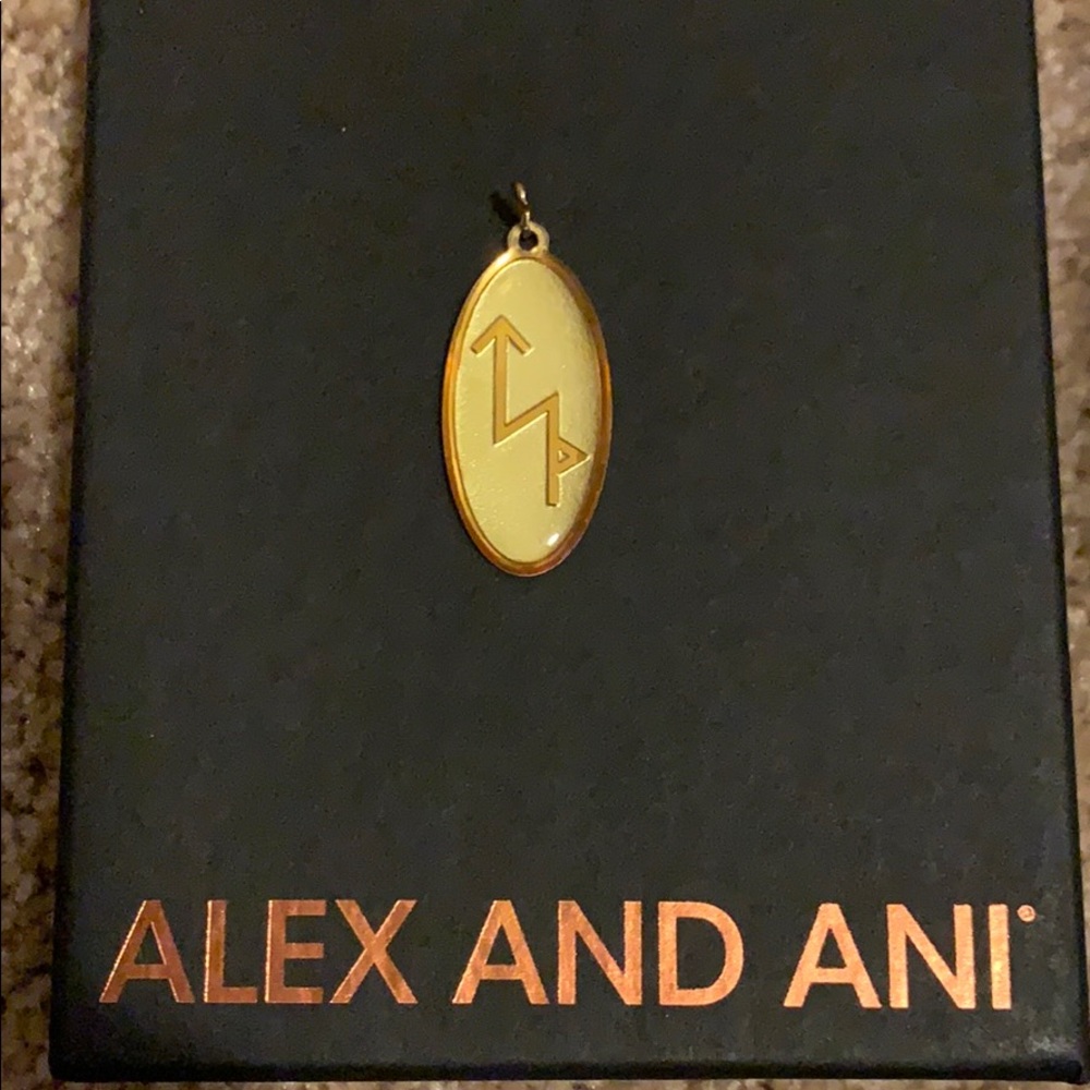 ALEX AND ANI charm